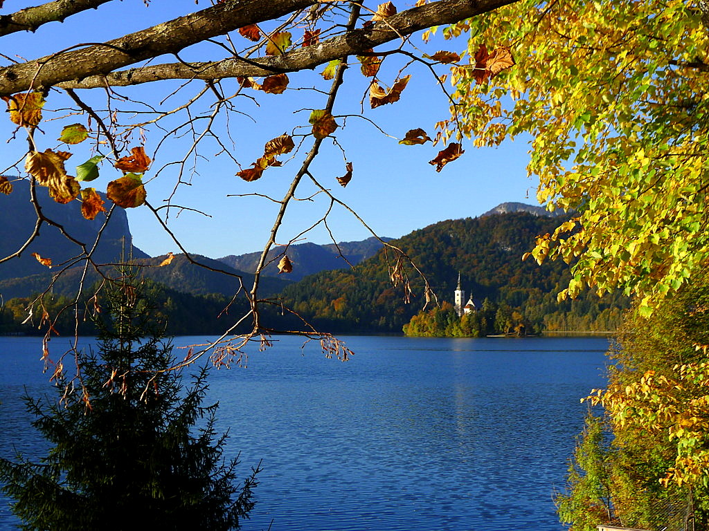 Bled Lake